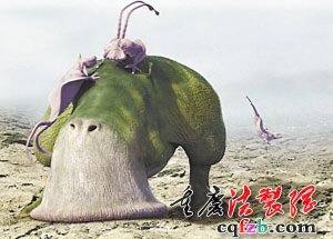 ����������������